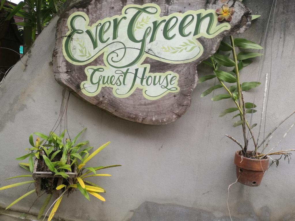 Ever Green Guest House - Sha Plus Pai Ngoại thất bức ảnh